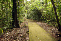 la selva main trail 
 - Costa Rica