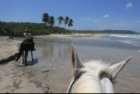        horse trailing behind pelada
  - Costa Rica