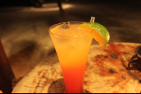        Lagarto special cocktail 
  - Costa Rica