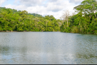 Rio Claro Rivermouth Corcovado National Park
 - Costa Rica