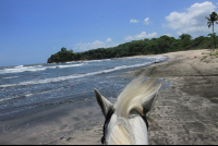        horse mane pelada
  - Costa Rica
