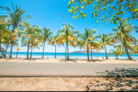 Beach Playa Carrillo Palm Tree Line
 - Costa Rica