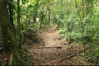 san gerardo starion trail 
 - Costa Rica