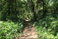        cahuita national park attraction page trail 
  - Costa Rica