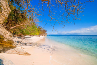        Sandy Stretch Playa Quesera Curu Wildlife Refuge
  - Costa Rica