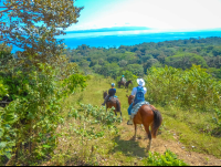        Descending The Mountain Horseback Rapelling Tour Rancho Tropical Matapalo
  - Costa Rica