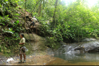        jungle adventure rappeling guide 
  - Costa Rica