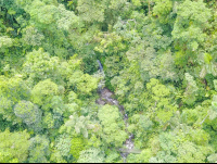 Creek Aerial View Inside Arenal Hanging Bridges Mistico Park
 - Costa Rica