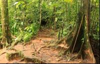        hacienda baru attraction trail 
  - Costa Rica