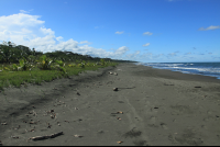 playa grande sand 
 - Costa Rica