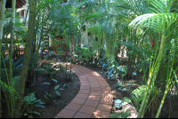 villas liro garden 
 - Costa Rica