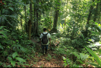 kekoldi reserve attraction group 
 - Costa Rica