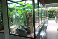        monteverde serpentarium enclosures 
  - Costa Rica