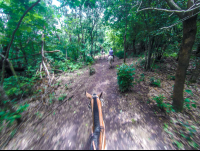 Last Forest Segment Horseback Riding Rincon De La Vieja
 - Costa Rica