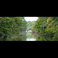 canal barra del colorado canal
 - Costa Rica