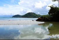biesandz beach reflection 
 - Costa Rica