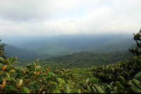 monetverde cloud forest reserve continental divide 
 - Costa Rica