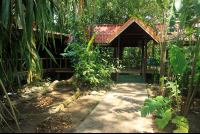 pachira lodge bungalows 
 - Costa Rica