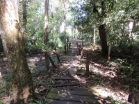        gandoca manzanillo wildlife refuge forest 
  - Costa Rica
