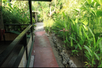 casa verde walkway 
 - Costa Rica