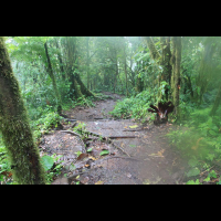        cerro chato hike 
  - Costa Rica