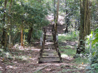 Gandoca Manzanillo Wildlife Refuge Bridge Over Marsh
 - Costa Rica