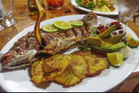 fried whole red snapper kmbute
 - Costa Rica
