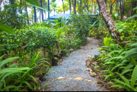 La Leona Gravel Paths Costa Rica
 - Costa Rica
