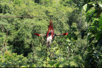 jungle adventure superman 
 - Costa Rica