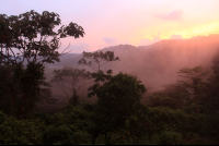 pocosol sunset 
 - Costa Rica