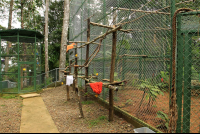        osa animal sanctuary tour page enclosures 
  - Costa Rica