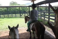 horse punta islita 
 - Costa Rica