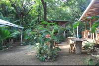 casa del mar hostel grounds 
 - Costa Rica