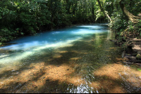        rio celeste rivers merge 
  - Costa Rica