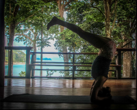 View From The Yoga Studio Encanta La Vida Matapalo Costa Rica
 - Costa Rica