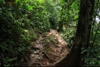        posa azul waterfall trail 
  - Costa Rica
