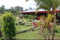        arenal palace gardens 
  - Costa Rica