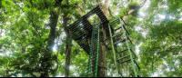 senderos aerios canopy tour st platform 
 - Costa Rica