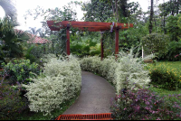        paradise hotsprings walking into gardens 
  - Costa Rica