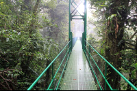 skywalk hangingbridge 
 - Costa Rica