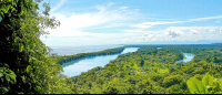        View From Cerro Tortuguero Tortuguero
  - Costa Rica