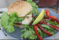 organic chickenbreast sandwich samaraorganics 
 - Costa Rica