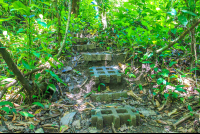        Trail Steps
  - Costa Rica