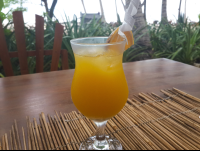 Orange Juice Shambala Restaurant
 - Costa Rica
