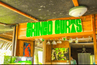 kitchen gringo curts restaurant 
 - Costa Rica
