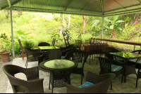        jungle beach hotel common area 
  - Costa Rica