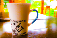 Cappucino Cup Drake Bay Cafe
 - Costa Rica