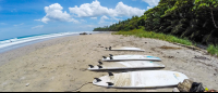 Surf Boards On The Sand Santa Teresa
 - Costa Rica