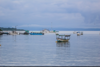        Boats Moored On Puerto Jimenez Pier Platanares Mangroves In Puerto Jimenez
  - Costa Rica