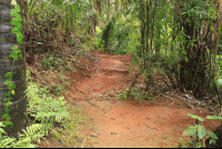 titi canopy tour trail 
 - Costa Rica